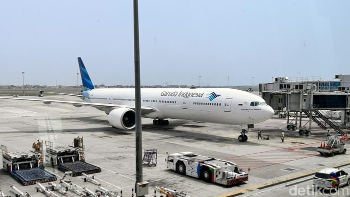 Pesawat Garuda Indonesia - Foto: Google